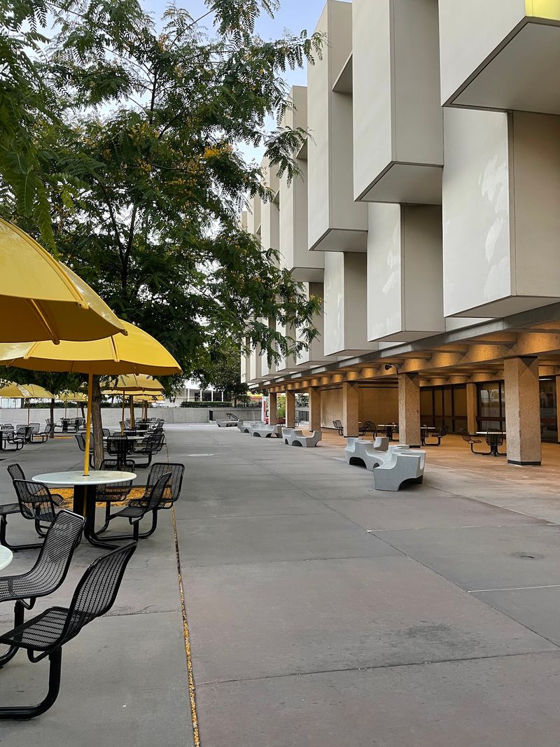 This California University Just Earned A Spot Among America's Best For Turning Degrees Into Better Futures - Decor Hint Who You Know Can Matter As Much As What You Know