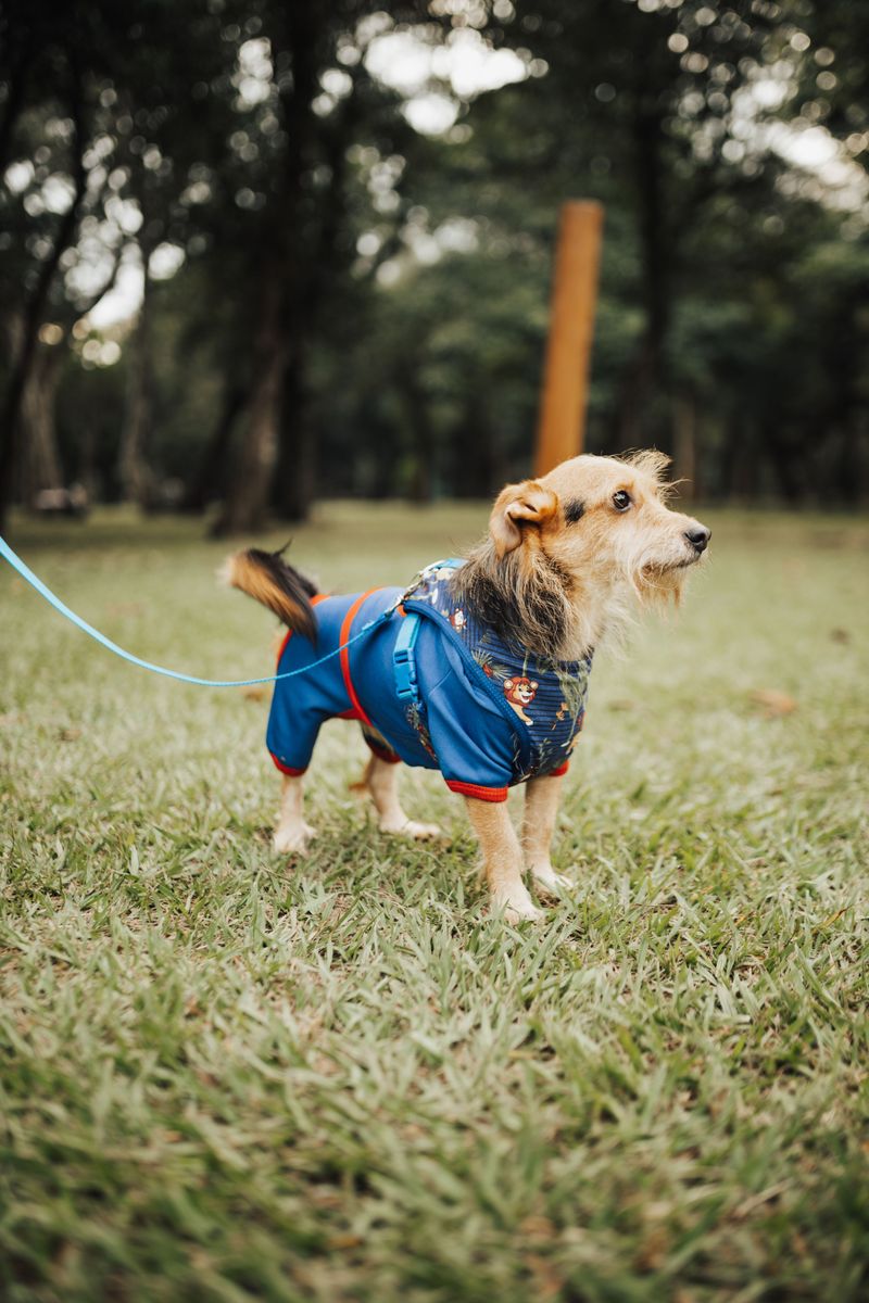 Mark Your Calendar Before Your Dog Does