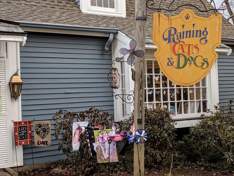 Cat And Dog Lovers Will Feel Right At Home In This Connecticut Gift Shop Filled With Adorable Finds - Decor Hint Your Home Can Show Off Your Pet Obsession, Too