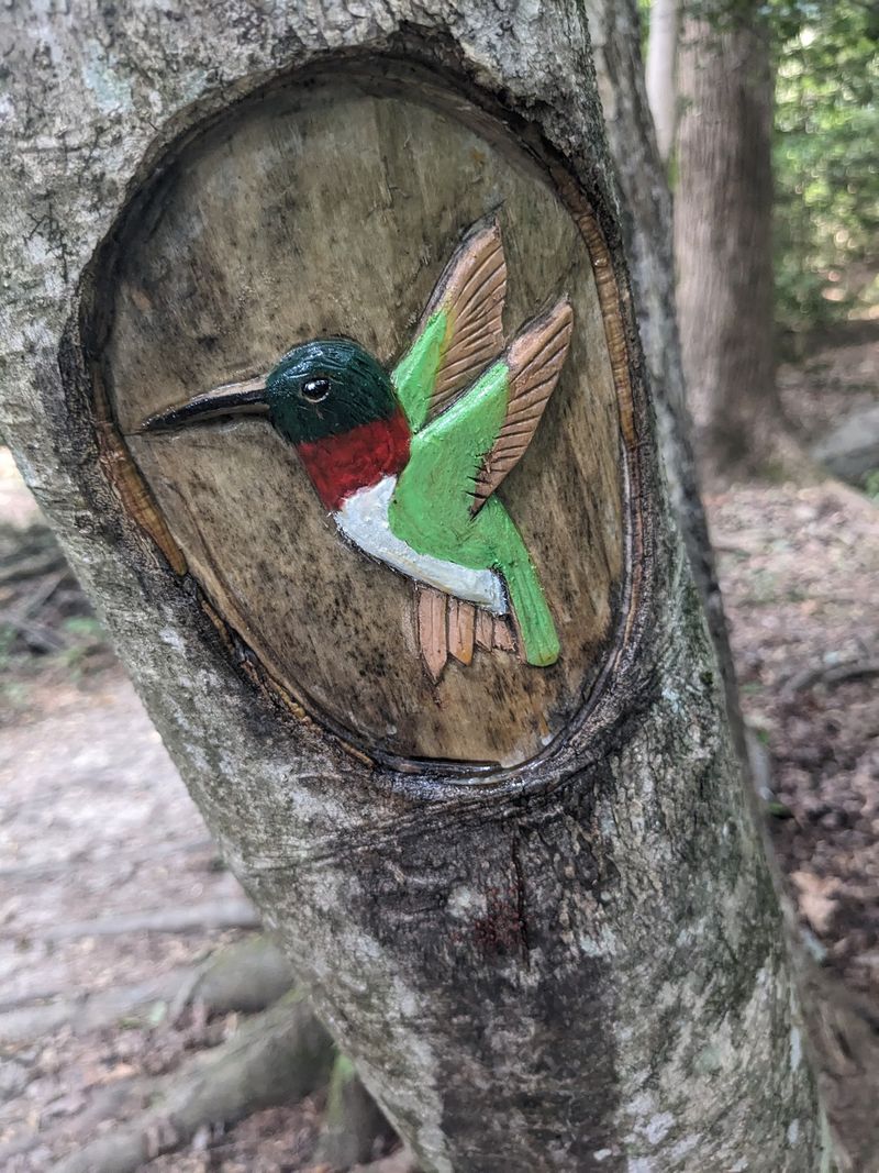 Superheroes Guard The Forest Too
