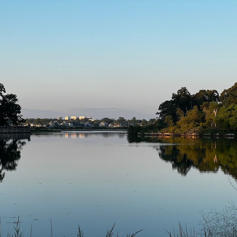 Dozens Of Species Still Need Someone To Find Them