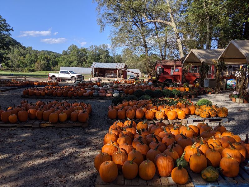 A Family Farm That Keeps Throwing Free Parties