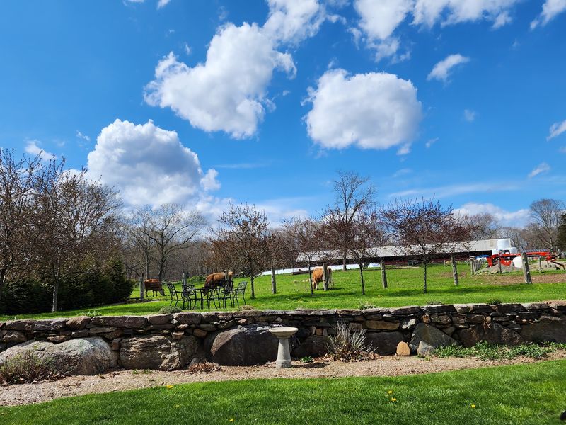 This Connecticut Creamery Makes Cheese The Old-Fashioned Way And The Results Are Worth Seeking Out - Decor Hint Seeing Where Your Food Comes From Changes Everything