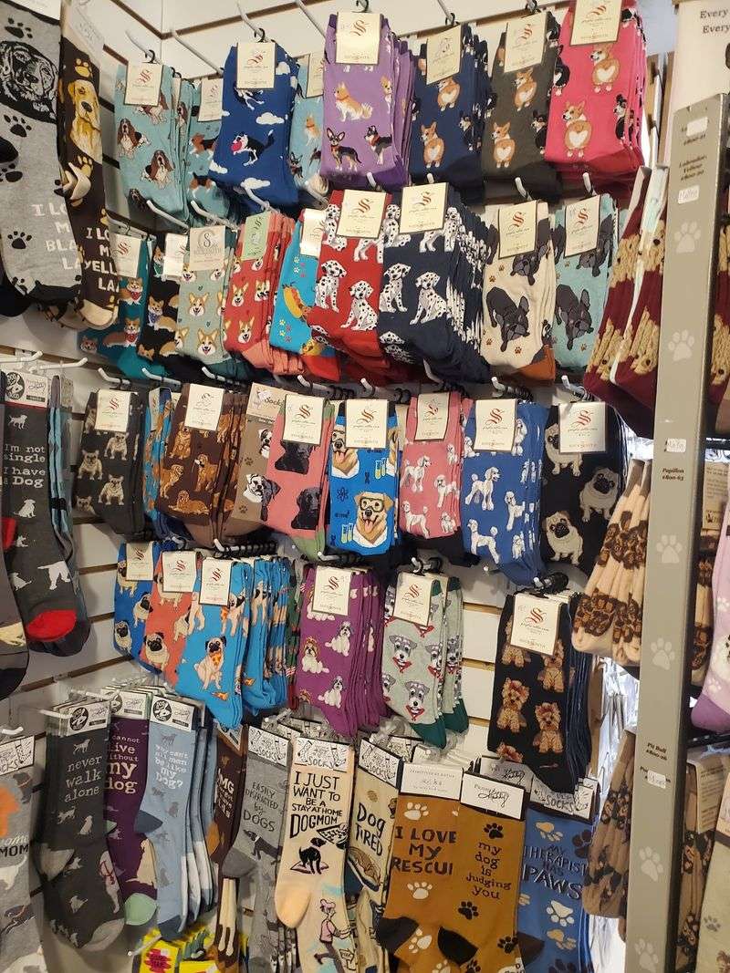 Cat And Dog Lovers Will Feel Right At Home In This Connecticut Gift Shop Filled With Adorable Finds - Decor Hint Wear Your Love For Whiskers And Wagging Tails
