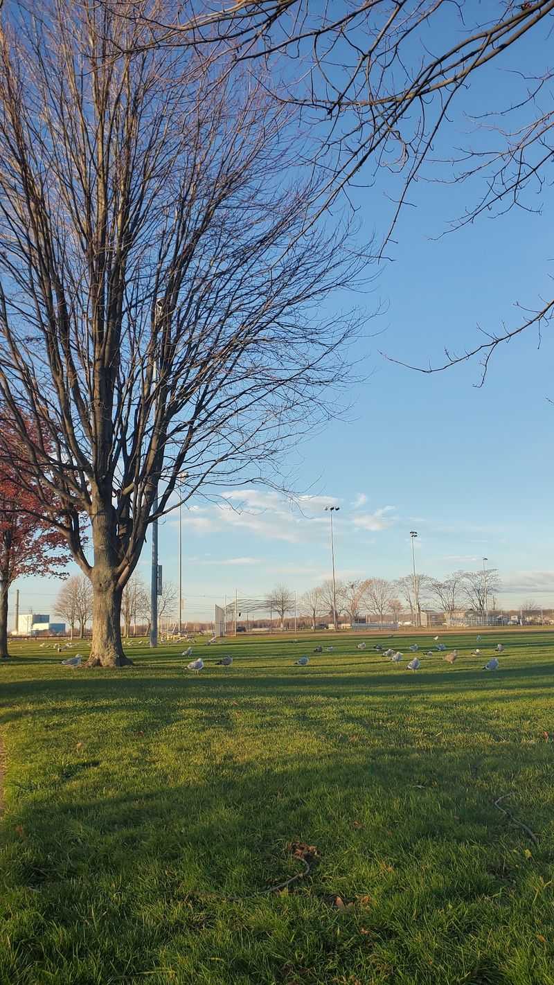 Connecticut's Very First State Park Sits Right Here