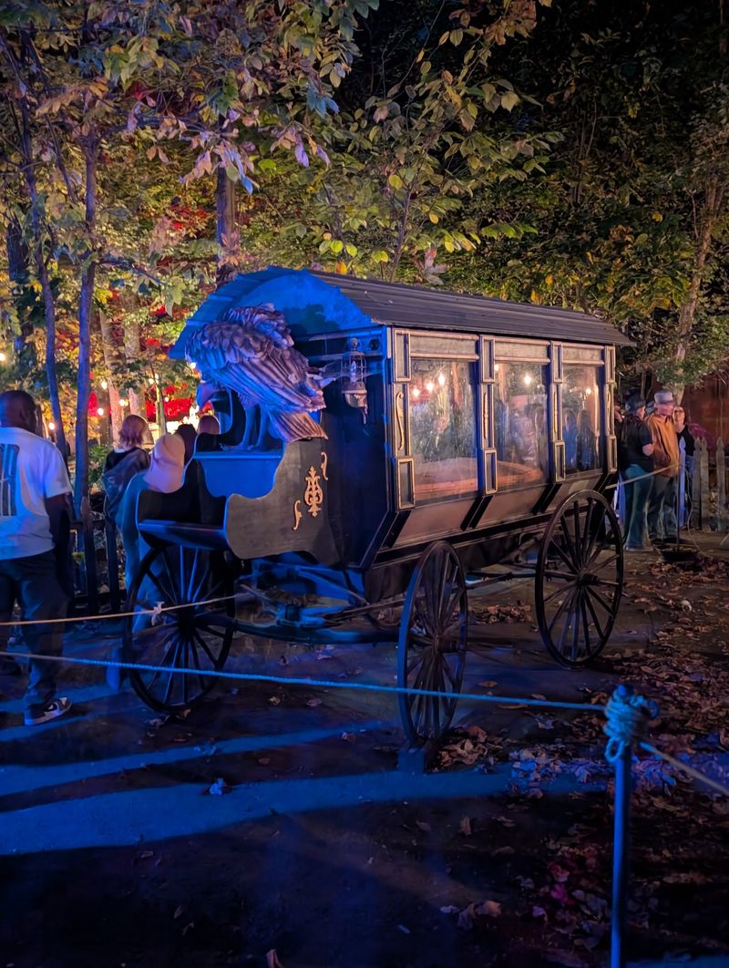 Daylight Brings Bumper Cars, Goats, And An 80 Foot Slide