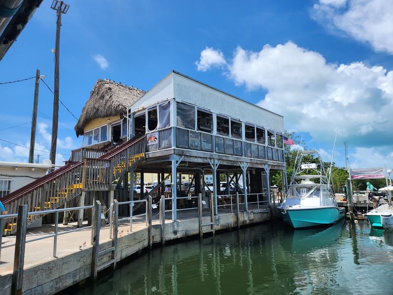 Giant Tarpon Put On A Free Show