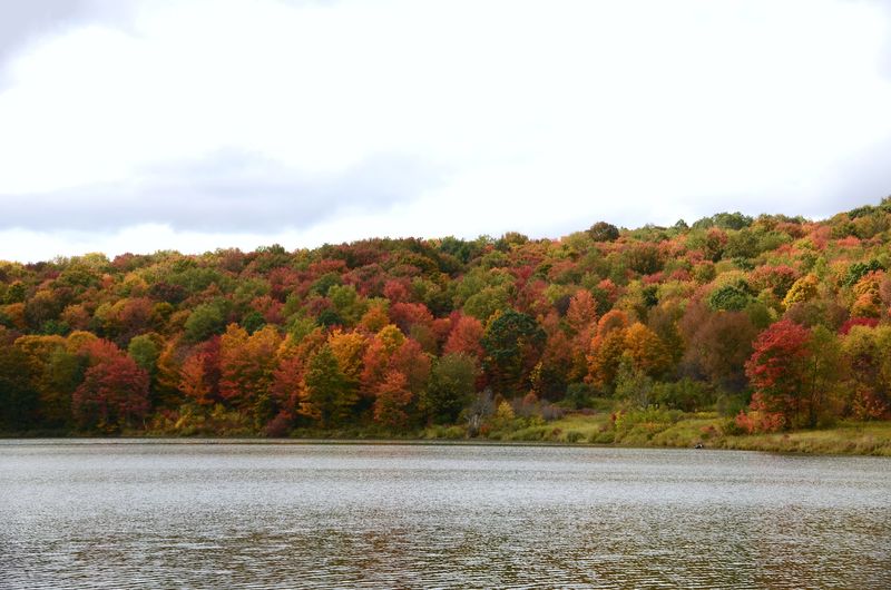 October Gives Arctic Lake A Colorful Frame