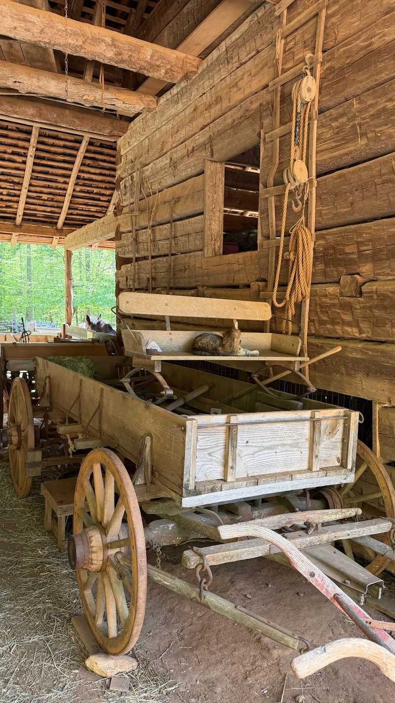 This North Carolina Fall Festival Is All About Shucking Corn, Working Gristmills, And Forgotten Farm Traditions - Decor Hint Bluegrass, Gospel, And A Wagon Ride Make Everything Better
