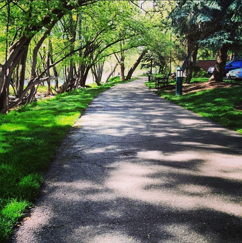 Trails That Make A Lazy Walk Feel Like An Outing