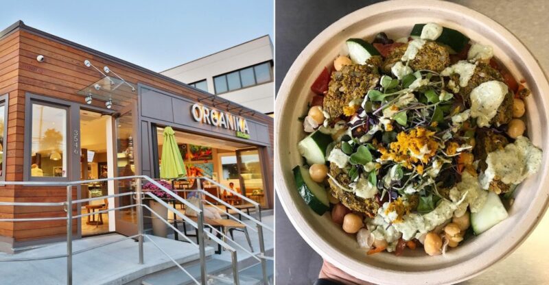 11 Top-Rated Vegan Restaurants In Connecticut Worth Adding To Your Food List