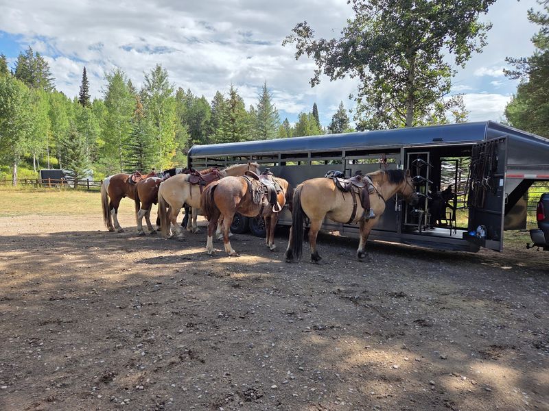 Book A Horse-Drawn Winter Sleigh Ride At This Teton Ranch In Victor, Idaho