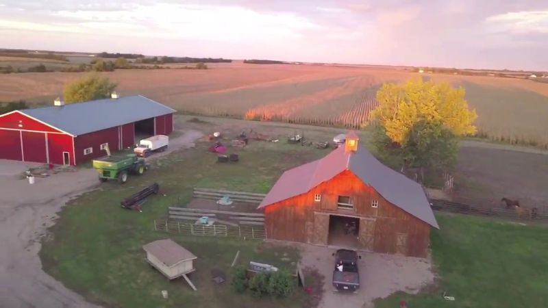 Nebraska Pasture-Raised Beef Comes Straight From This Family Ranch That Sells By The Quarter