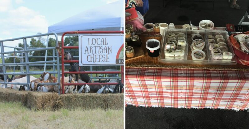 This Georgia Goat Dairy Sells Fresh Handmade Cheese And Farm-Fresh Goods Straight From The Farm