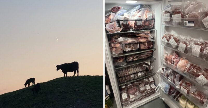 These 10 Kentucky Farms Raise Their Own Beef And Let You Take It Straight Home To Your Table