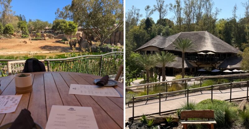 This California Restaurant Lets You Eat Just Steps Away From Elephants At The San Diego Zoo Safari Park