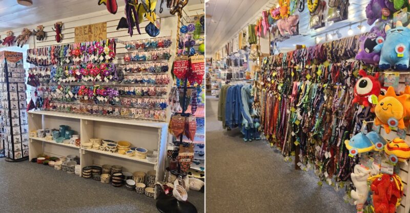 Cat And Dog Lovers Will Feel Right At Home In This Connecticut Gift Shop Filled With Adorable Finds