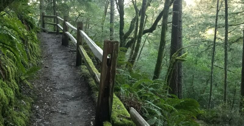 California’s November Hike Of The Month Is A Scenic Trail Worth Exploring Before Winter Arrives
