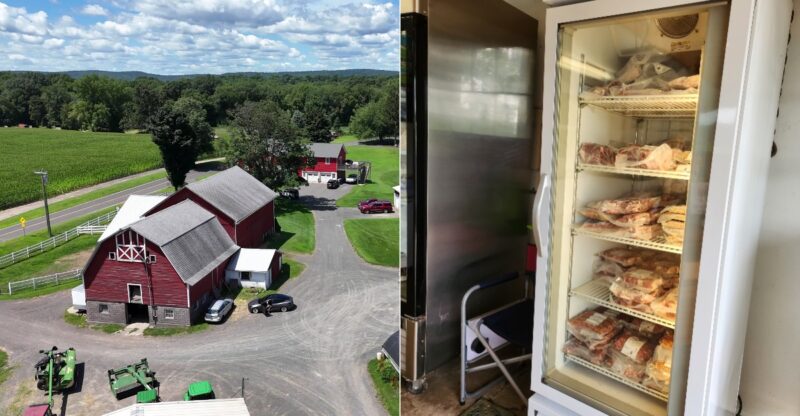 9 Connecticut Family Farms Where You Can Buy Fresh Milk, Local Honey And Farm-Raised Beef Straight From The Source