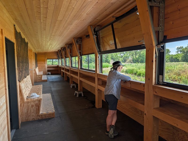 Over 400,000 Sandhill Cranes Roost At This Nebraska Sanctuary And Viewing Blinds Book Up By Winter