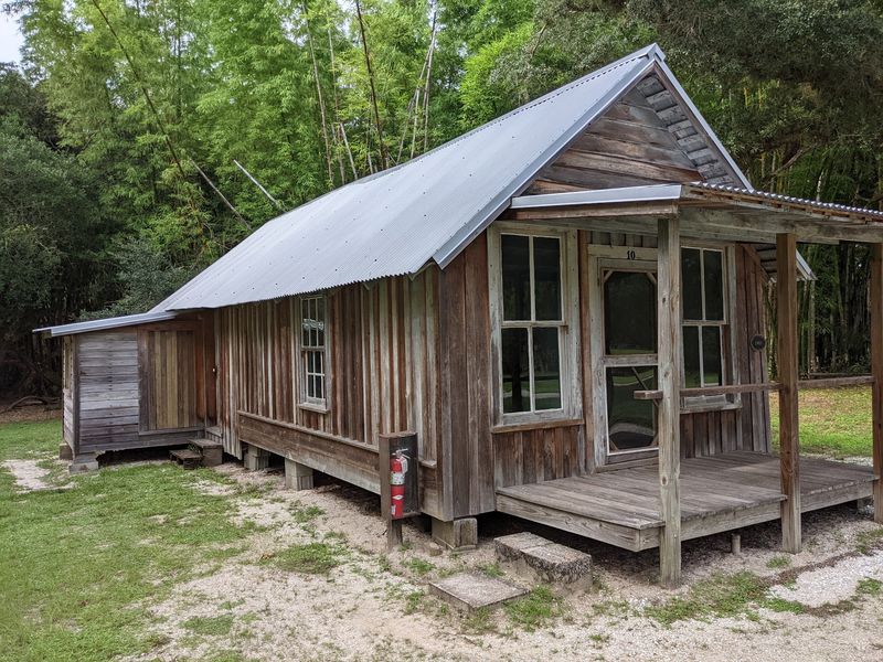Deep In Southwest Florida, A Utopian Settlement Glows Among Giant Bamboo