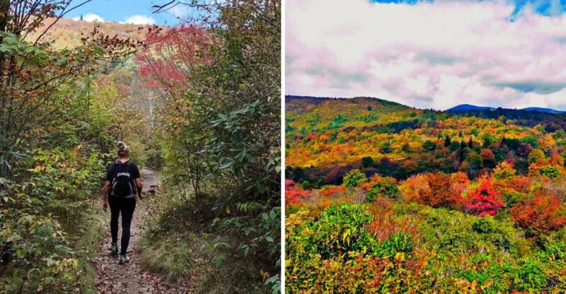 North Carolina’s October Trail Of The Month Is An Easy 1.3-Mile Loop Through Peak Fall Color