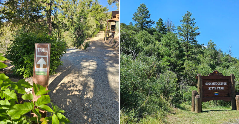 9 New Mexico Trails Under 2 Miles For Stunning Fall Colors Without The Tough Hike