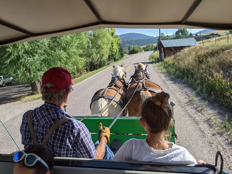 This Idaho Ranch Hitches Up Belgian Draft Horses That Make A Trail Horse Look Tiny