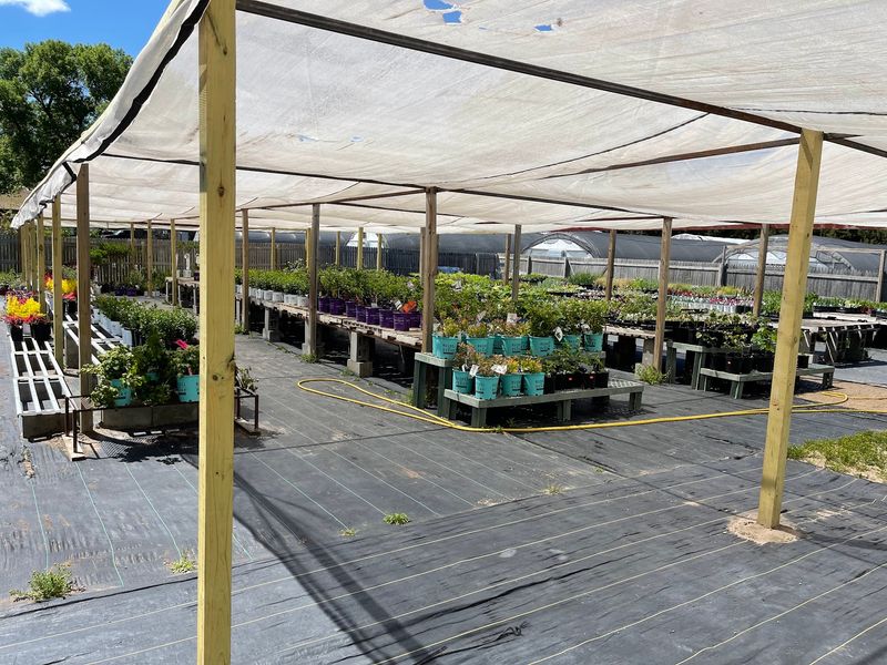 Where To Buy Plants In Nebraska Before The Holiday Shopping Rush