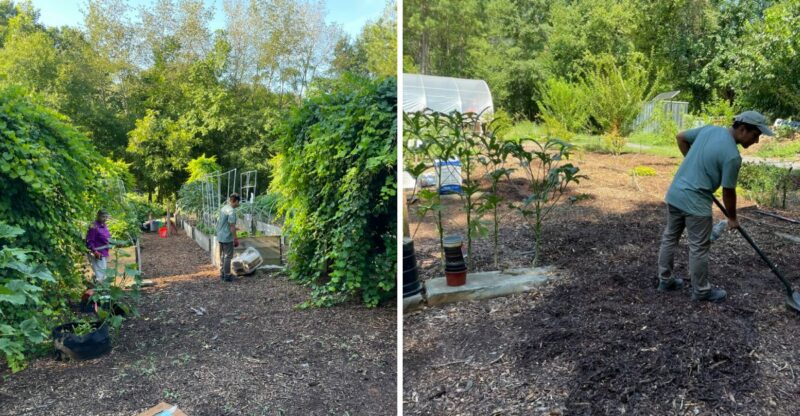 Georgia Is Home To America’s Largest Public Food Forest Where You Can Pick Fresh Food For Free