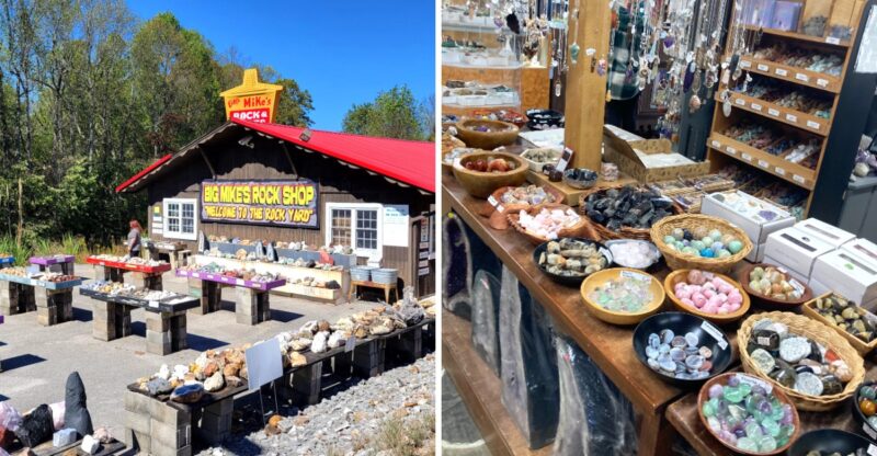 This Kentucky Roadside Rock Shop Feels Like A Treasure Hunt, Complete With Glittering Geodes And A Prehistoric Sea Monster