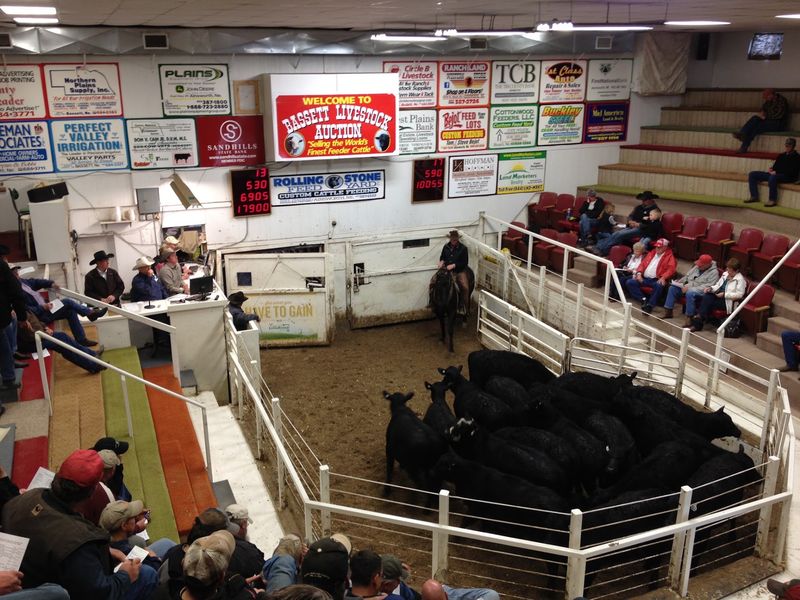 Since 1937 This Nebraska Sale Barn Cafe Has Fed Ranchers Hot Beef Sandwiches On Auction Day