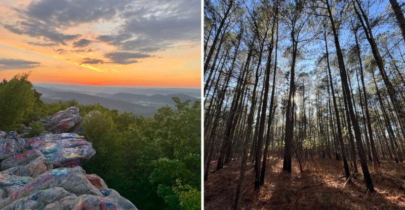 10 Maryland Nature Spots That Feel Like Nobody Else Knows They Exist