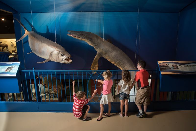 Kool-Aid, Planets And Prairie Wildlife Share One Beloved Nebraska Museum Floor Plan