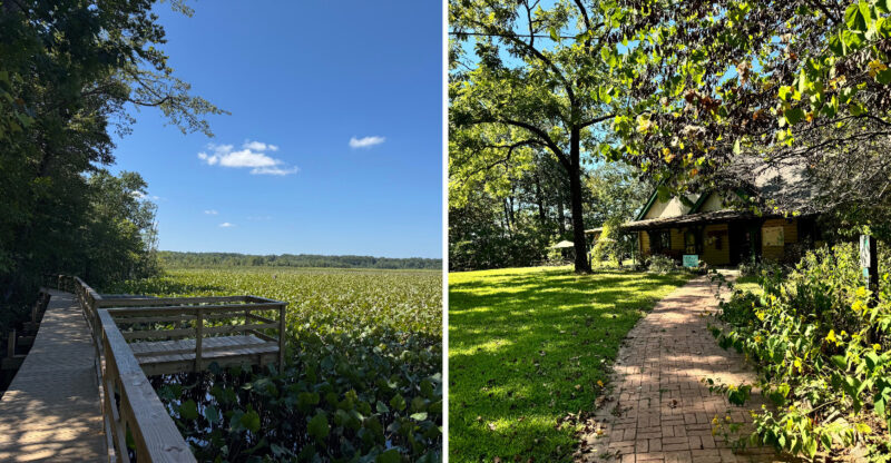 Nothing Beats A Hike Through This Peaceful 1,700-Acre Maryland Sanctuary