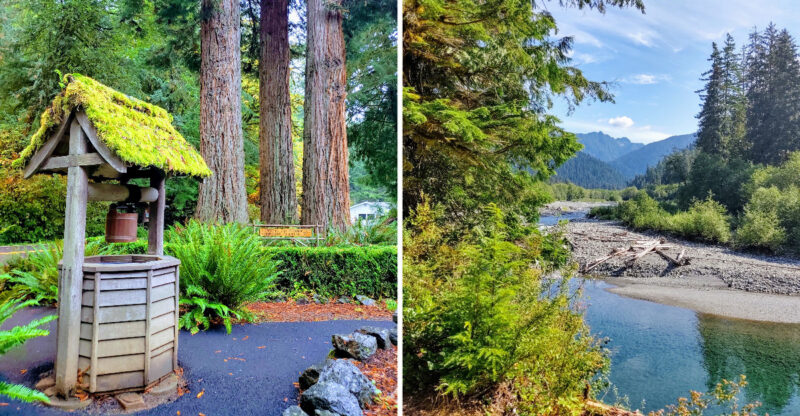 The Washington “Narnia Trail” That Turns A Family Hike Into A Magical Forest Adventure