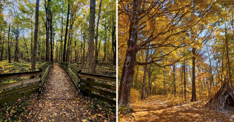 10 Beginner-Friendly Indiana Autumn Trails That Feel Made For A Fall Film