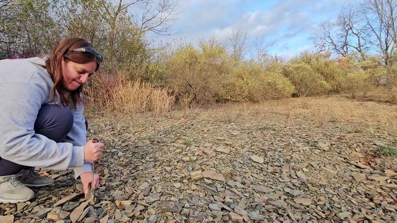 Kids Split Open Shale And Keep The Fossils They Find At This Pennsylvania Dig Site
