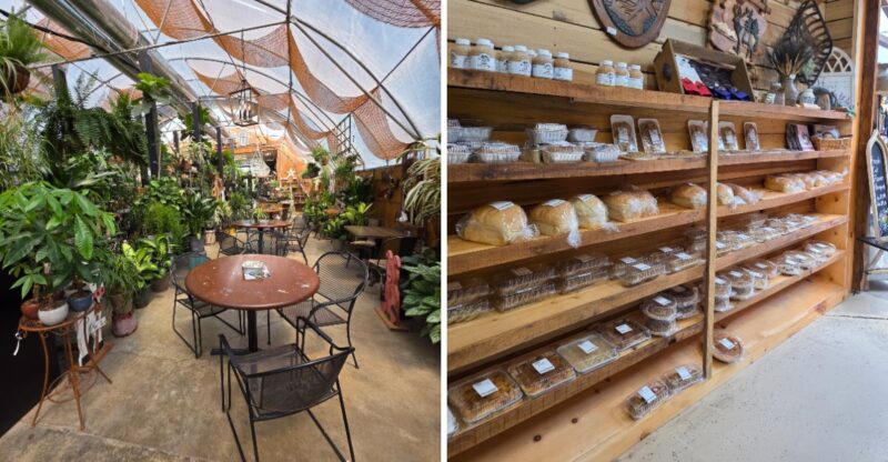 This Kentucky Garden Center In Amish Country Has Fall Mums, Fresh Produce, And A Bakery Café Worth The Drive