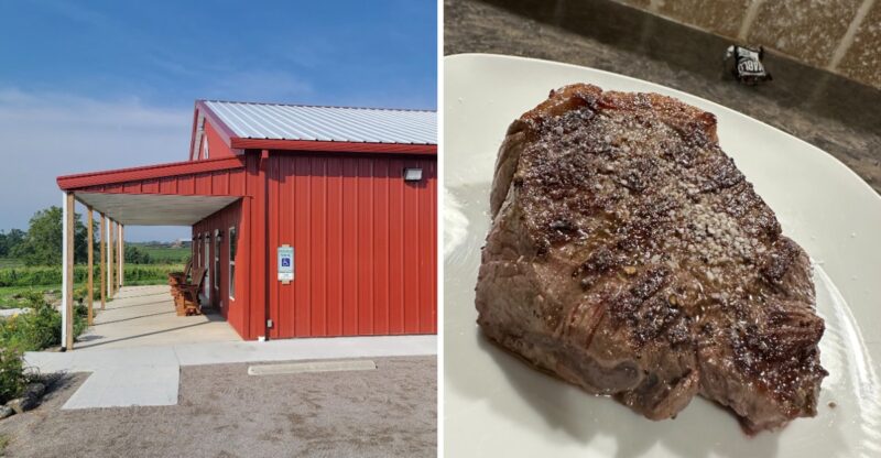 This Kentucky Family Farm Sells Pasture-Raised Beef And Fresh Blue Eggs Straight From The Source