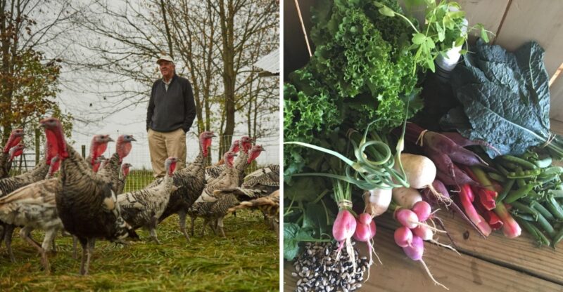 This Kentucky Farm Raises Heritage Turkeys You Can Order For Your Holiday Table