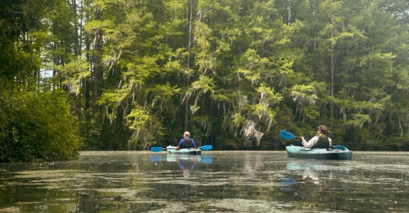 This North Carolina Kayaking Adventure Takes You Across A Lake Where Wild Alligators Roam