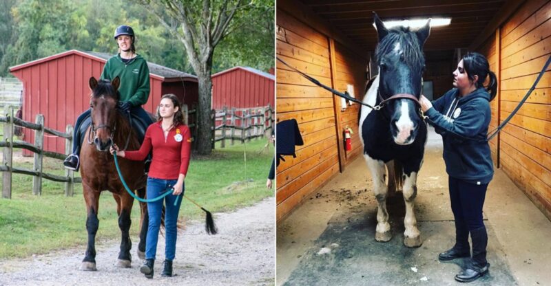 This Connecticut Farm Lets You Get Up Close And Ride Its Gentle Therapy Horses