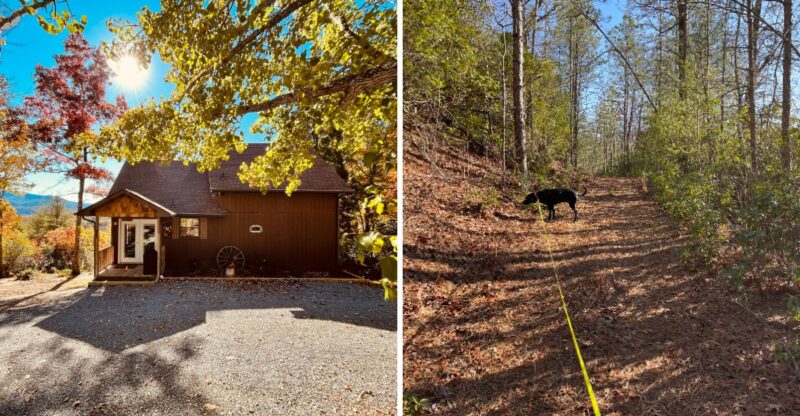 This Peaceful Georgia Mountain Cabin Is The Perfect Cozy Escape For Fall Colors