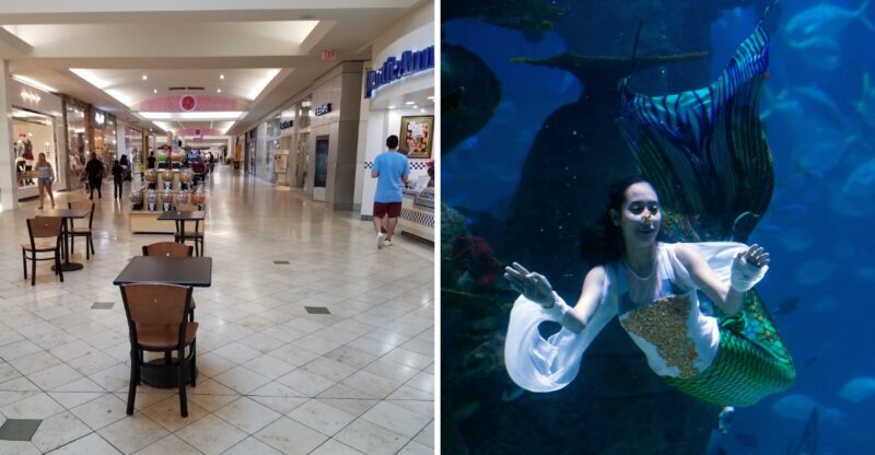 Mermaids Are Coming To A North Carolina Mall, And You Can Meet Them At An Aquarium For Free