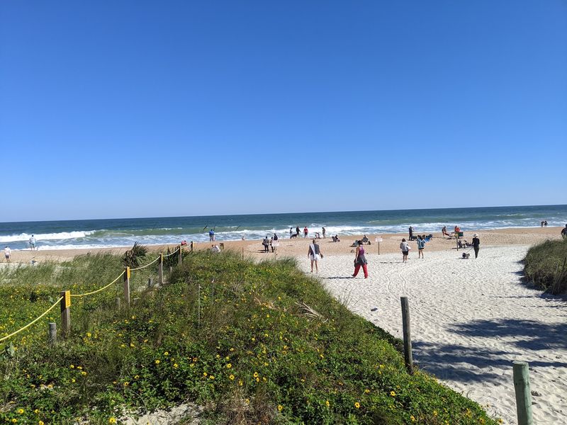 These Are The 6 Florida Beaches Where Sand Dollars Or Shells Wash Up After Every Storm