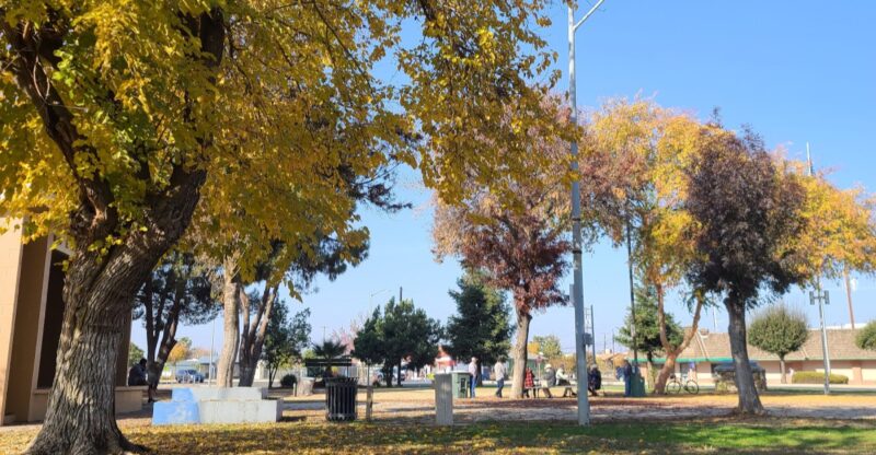 8 Small Towns Near Fresno, California That Feel Just Right For A Fall Getaway