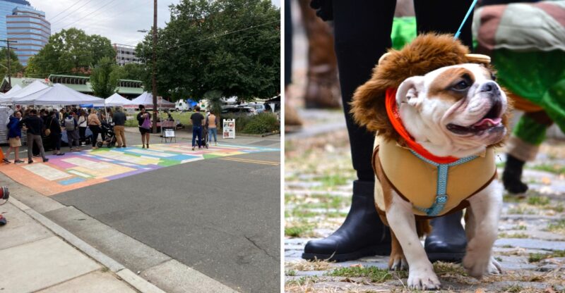 This Free North Carolina Dog Festival Has Tie-Dye For Pups And A Hilarious Owner Lookalike Contest