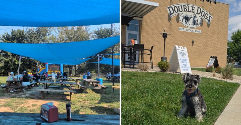 Pup Cups, Dog Menus, And Patio Seats Await At These 9 Kentucky Restaurants