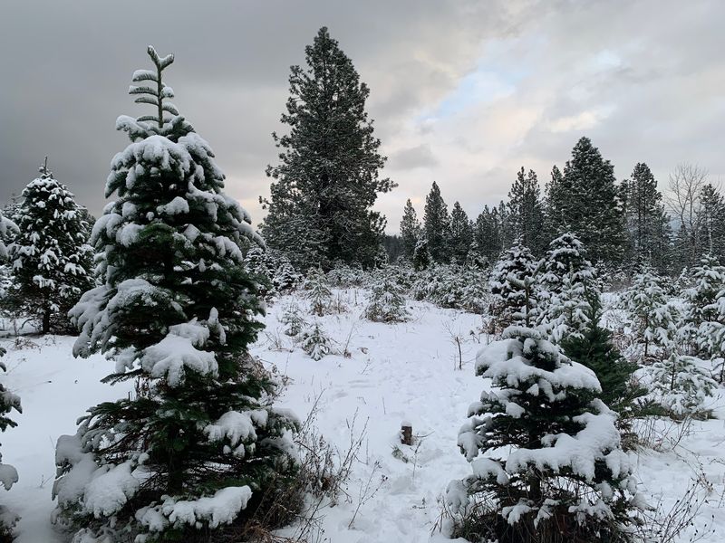 featured image 8701dce9abb9 f1808383c0f8 - Decor Hint